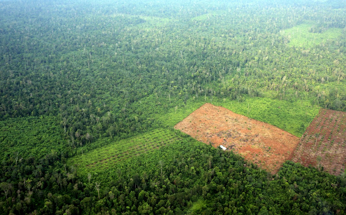 riau_1245 riau_1245